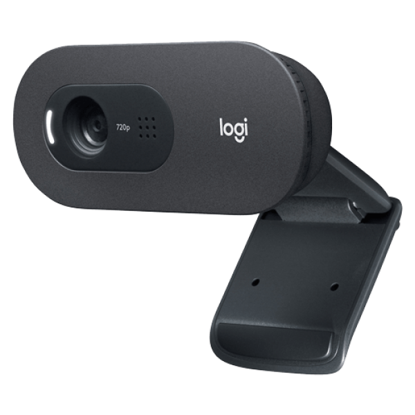 Web camera Logitech C505 960-001364