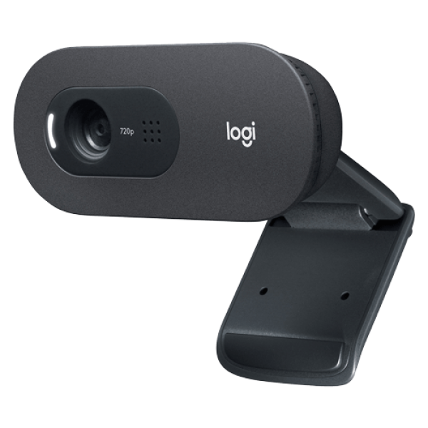 Web camera Logitech C505e 960-001372