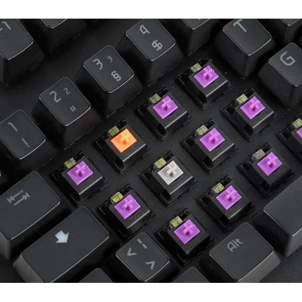 https://www.dsc.rs/images/products/big/44463.webp