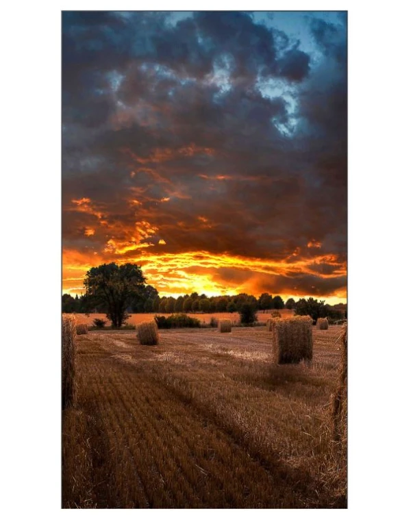 https://www.dsc.rs/images/products/big/48178.webp