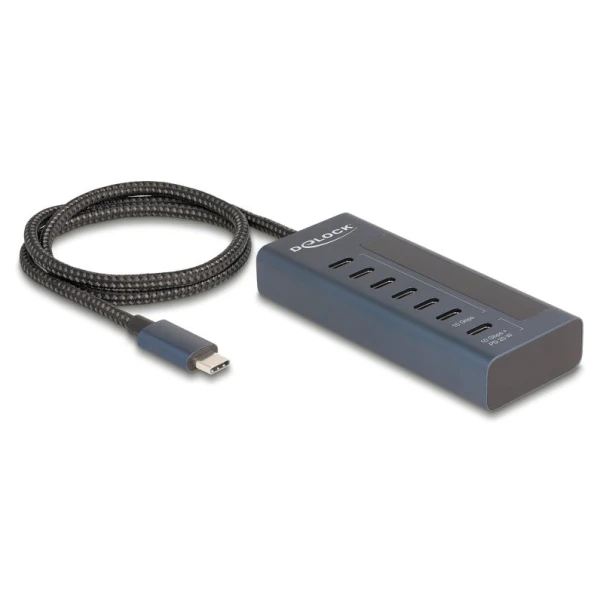 Delock USB 10 Gbps Hub with 7 USB Type-C Ports, 6X Data Ports + 1XData & 20W