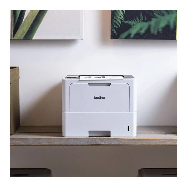 https://www.dsc.rs/images/products/big/49581.webp